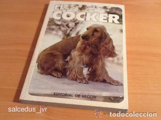Libros de segunda mano: El Cocker de Jose M&ordf; Ferr&aacute;n Andreu Editorial De Vecchi Libro Perros - Foto 1