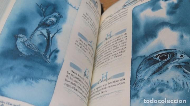 Libros de segunda mano: EL LIBRO DE LAS 1000 SUPERSTICIONES - Foto 2