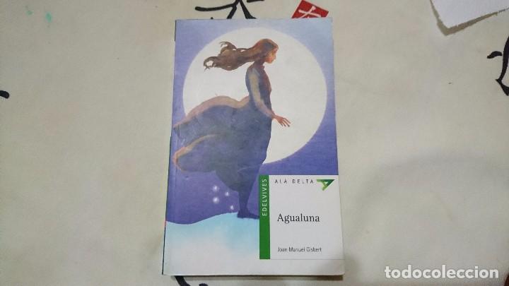 Libros de segunda mano: AGUALUNA, ALA DELTA, JOAN MANUEL GISBERT - Foto 1