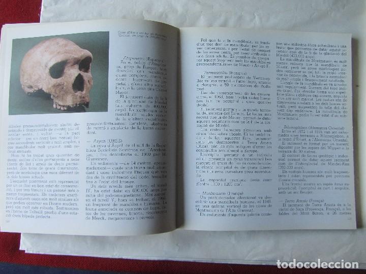 Libros de segunda mano: ORIGEN I EVOLUCI&Oacute; DE LHOME. DIPUTACI&Oacute; DE BARCELONA. - Foto 2
