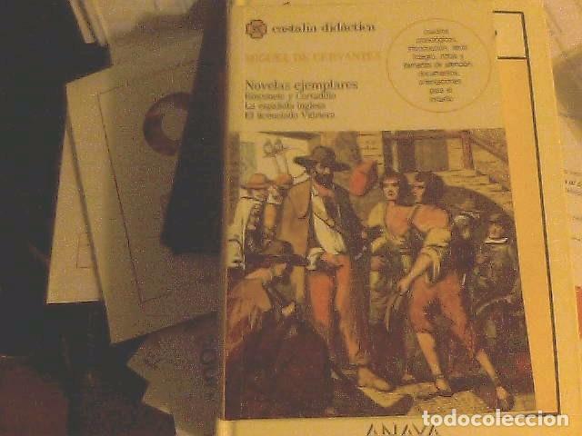 Libros de segunda mano: Miguel de Cervantes - Novelas ejemplares - Foto 1