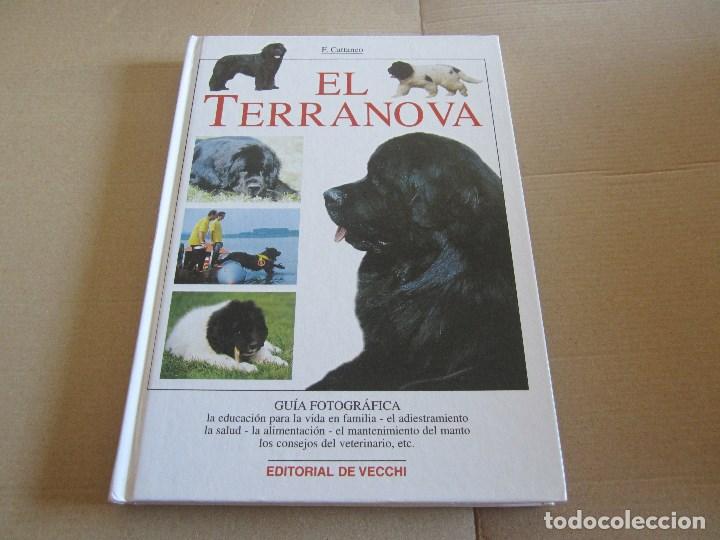 Libros de segunda mano: EL TERRANOVA, . CATTANEO, FILIPPO - DE VECCHI EDICIONES - Foto 1