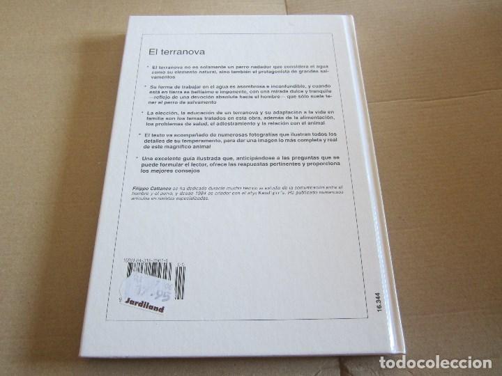 Libros de segunda mano: EL TERRANOVA, . CATTANEO, FILIPPO - DE VECCHI EDICIONES - Foto 2