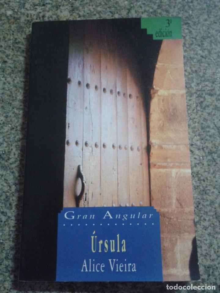 Libros de segunda mano: URSULA -- ALICE VIEIRA -- GRAN ANGULAR - 1990 -- - Foto 1