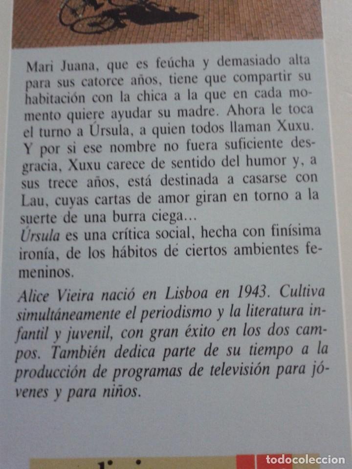 Libros de segunda mano: URSULA -- ALICE VIEIRA -- GRAN ANGULAR - 1990 -- - Foto 3