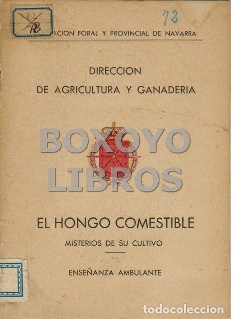 Libros de segunda mano: DIPUTACI&Oacute;N FORAL Y PROVINCIAL DE NAVARRA. DIRECCI&Oacute;N DE AGRICULTURA Y GANADER&Iacute;A. El hongo comestible.