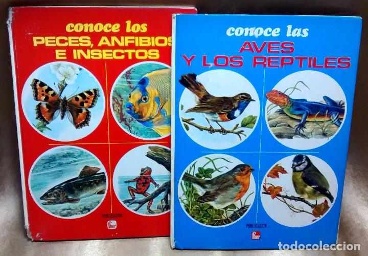 Libros de segunda mano: CONOCE LAS AVES Y LOS REPTILES - Foto 1