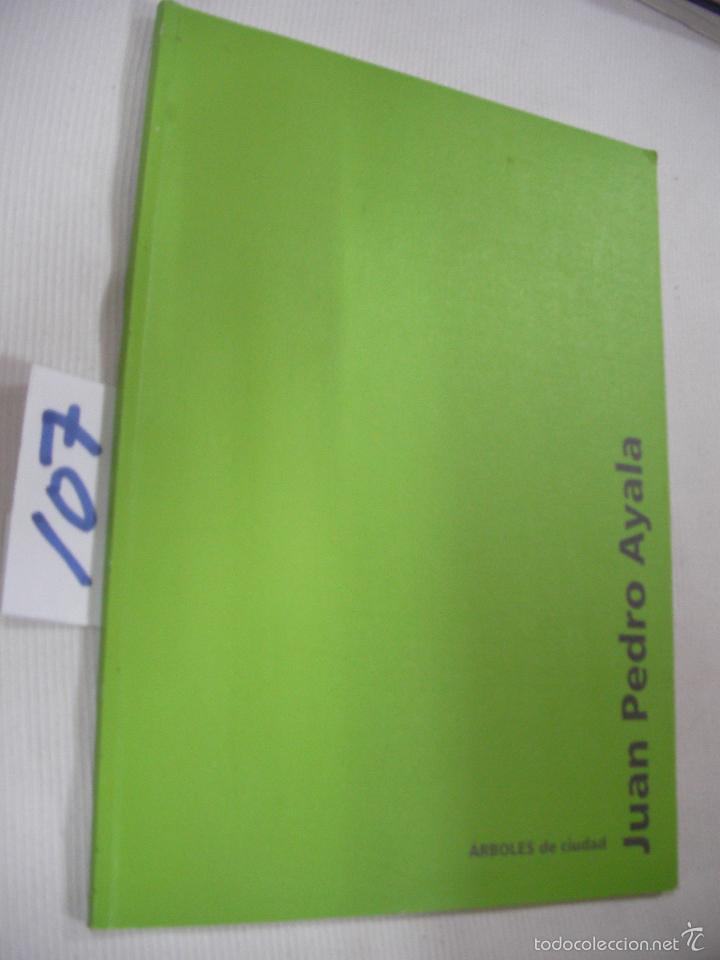 Libros de segunda mano: CATALOGO - JUAN PEDRO AYALA - Foto 1