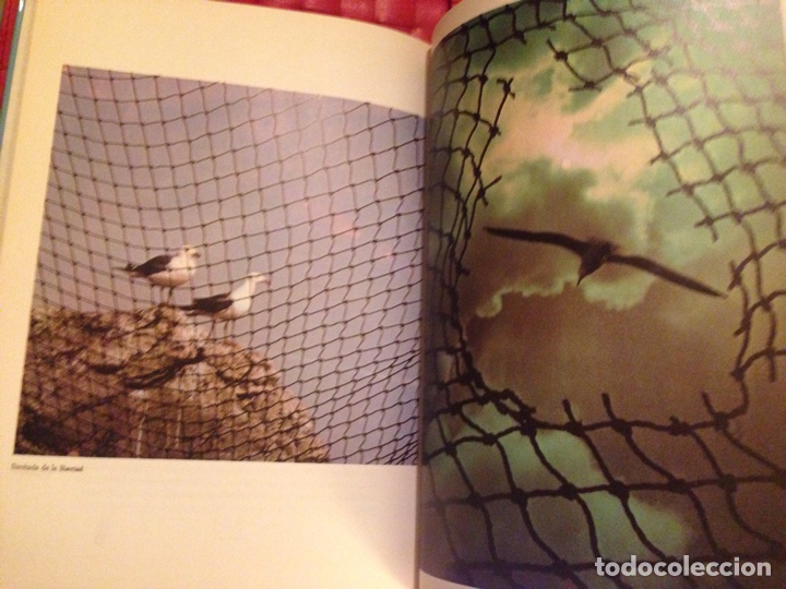 Libros de segunda mano: Libro, JUAN SALVADOR GAVIOTA - Foto 2