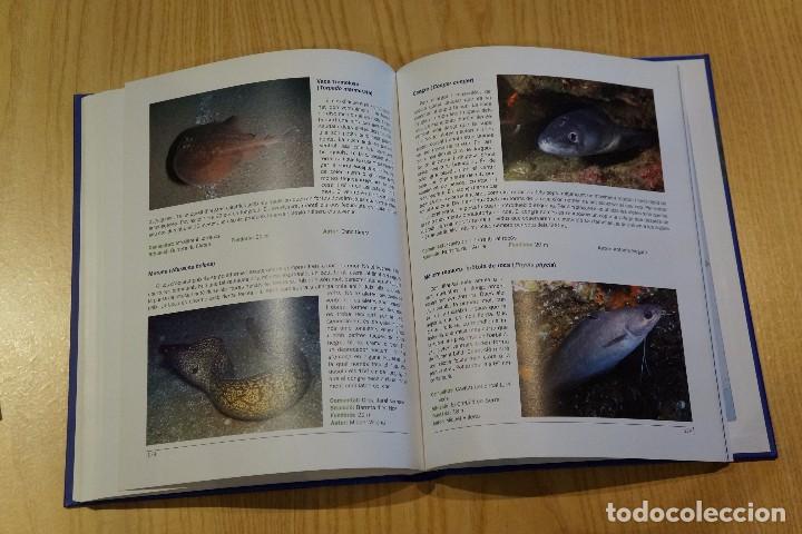 Libros de segunda mano: EL MAR DE MATAR&Oacute; - SPAS 1959-2009 - Foto 2