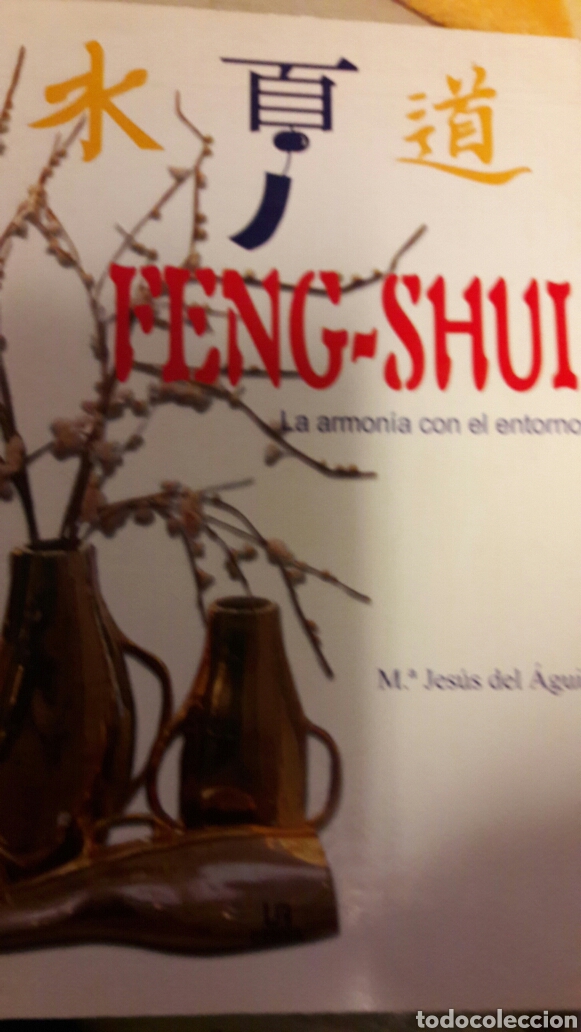 Libros de segunda mano: Feng Shui. M. Jes&uacute;s del Aguila. - Foto 1