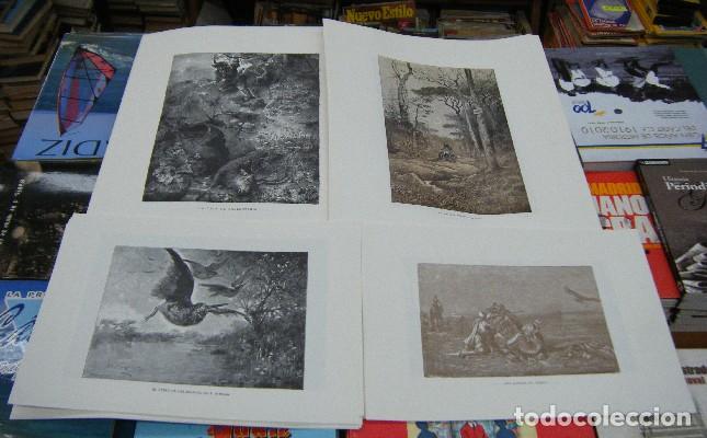Libros de segunda mano: 80 LAMINAS DE CAZA (Campbell) (CP-106) - Foto 1