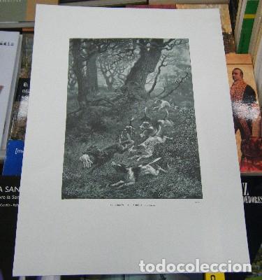 Libros de segunda mano: 80 LAMINAS DE CAZA (Campbell) (CP-106) - Foto 2