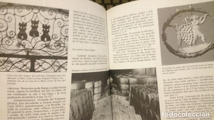 Libros de segunda mano: terra nostra - Foto 2