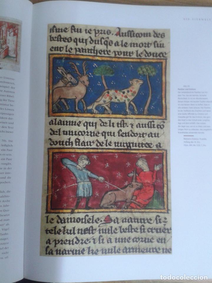 Libros de segunda mano: Das Leuchtende Mittelalter. Jacques Dalarun. Primus Verlag. - Foto 3