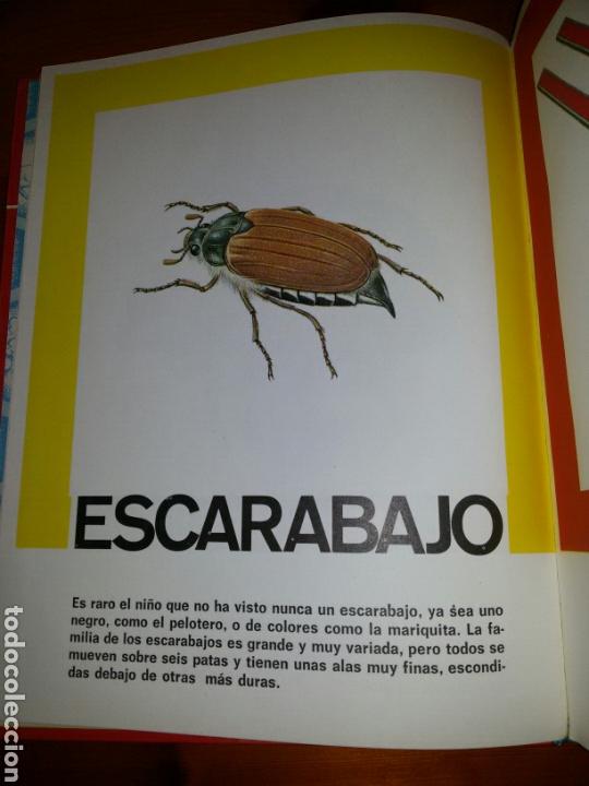 Libros de segunda mano: IMAGENES Y PALABRAS / 1972 - Foto 5