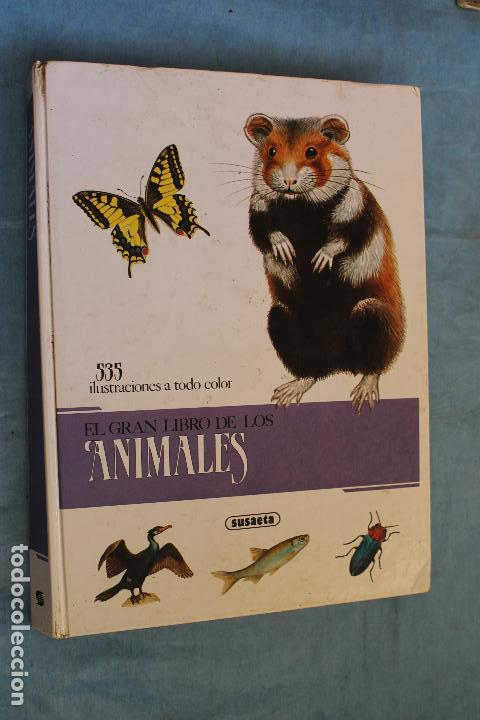 Libros de segunda mano: EL GRAN LIBRO DE LOS ANIMALES , SUSAETA 1992 - Foto 1