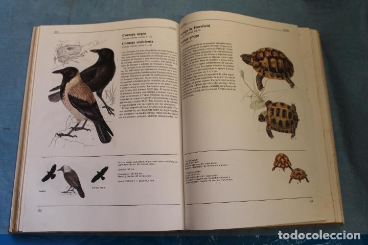 Libros de segunda mano: EL GRAN LIBRO DE LOS ANIMALES , SUSAETA 1992 - Foto 2