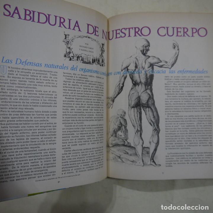 Libros de segunda mano: PANORAMA JUVENIL - SELECCIONES READERS DIGEST - 1967 - Foto 5