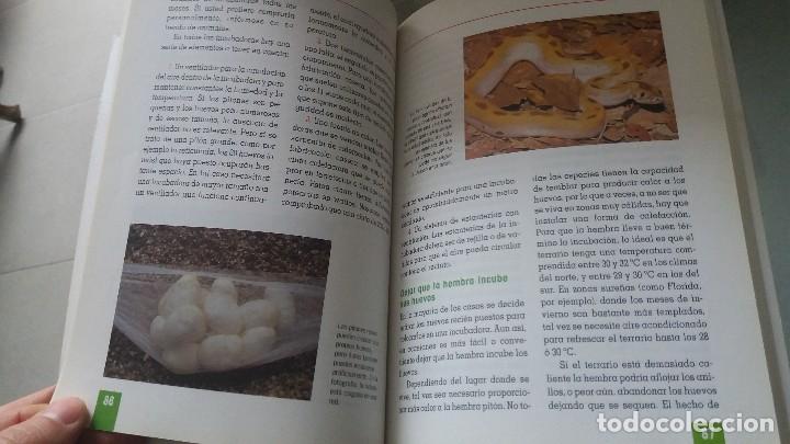 Libros de segunda mano: Libro del cuidado de la serpiente piton, animales serpientes pitones - Foto 5