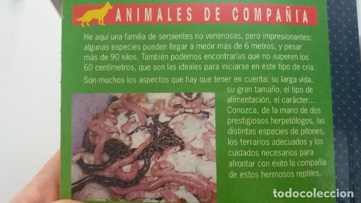 Libros de segunda mano: Libro del cuidado de la serpiente piton, animales serpientes pitones - Foto 7