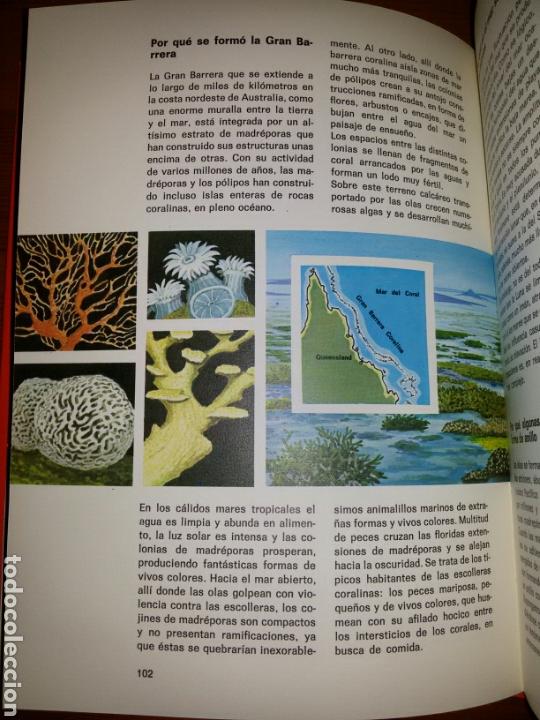 Libros de segunda mano: EL LIBRO DEL PORQUE / 1979 - Foto 6