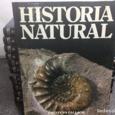 Libros de segunda mano: HISTORIA NATURAL , OBRA COMPLETA EN 12 TOMOS -EDITA: OCEANO - INSTITUTO GALLACH 1989. Lote 26637261