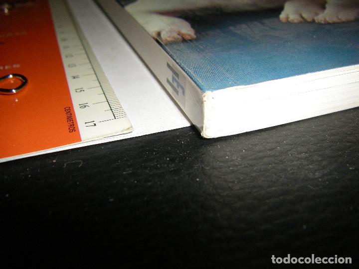 Libros de segunda mano: el bull terrier. martin well - Foto 2