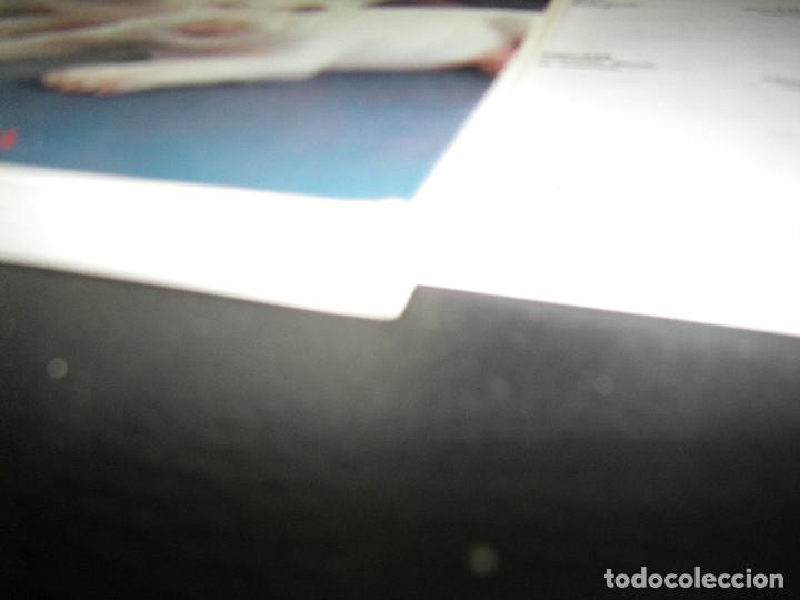Libros de segunda mano: el bull terrier. martin well - Foto 3