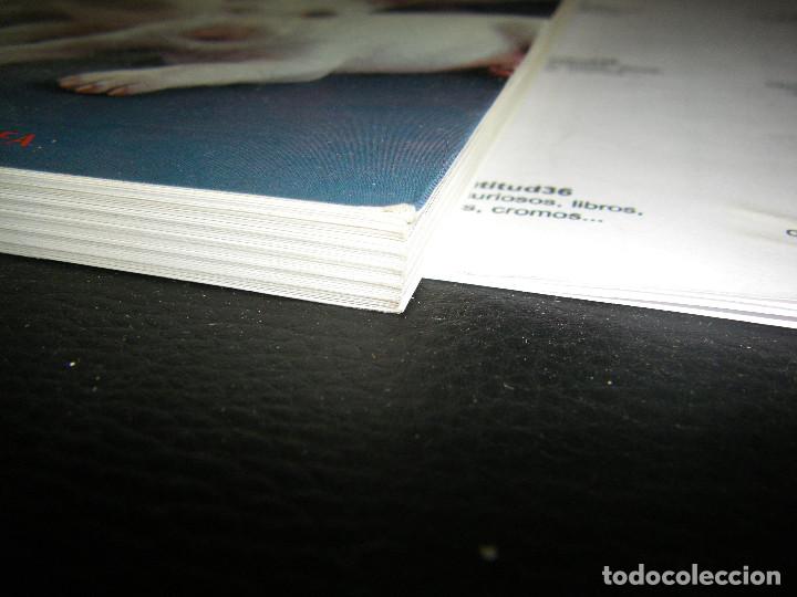 Libros de segunda mano: el bull terrier. martin well - Foto 4