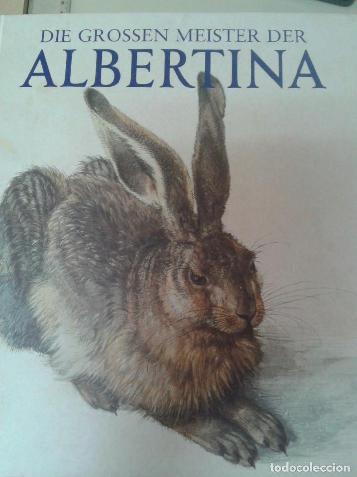 Libros de segunda mano: DIE GROSSEN MEISTER DER ALBERTINA. - Foto 1
