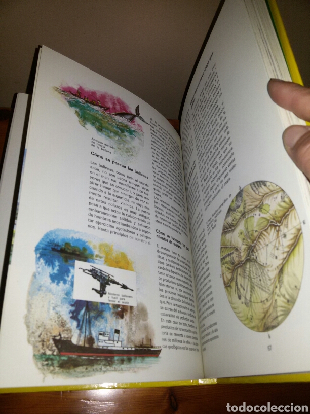 Libros de segunda mano: EL LIBRO DEL COMO / 1979 - Foto 5
