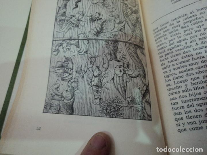 Libros de segunda mano: Los monstruos marinos Antonio Ribera - Foto 6