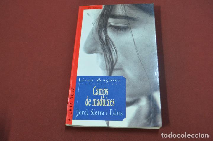 Libros de segunda mano: camps de maduixes - jordi sierra i fabra - gran angular - JU3 - Foto 1