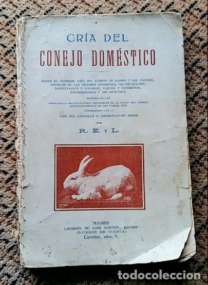 Libros de segunda mano: CRIA DEL CONEJO DOMESTICO. LIBRERIA DE LUIS SANTOS - Foto 1