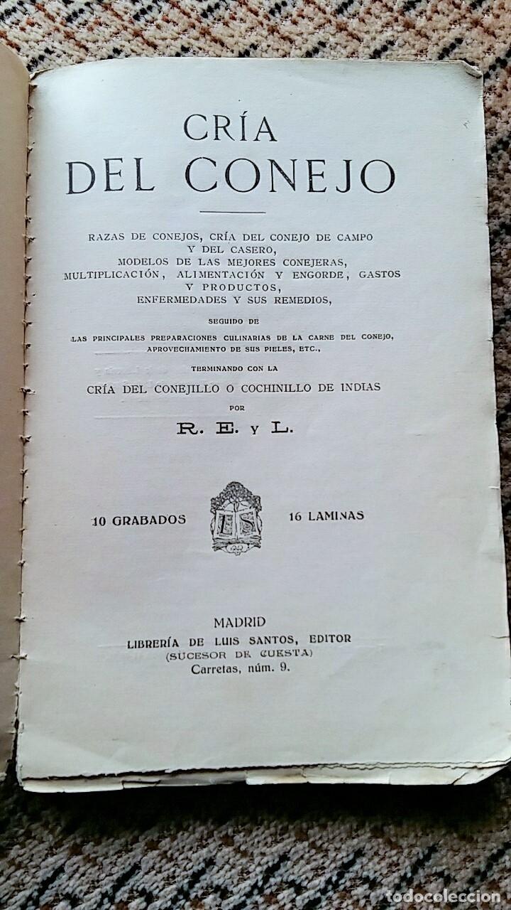 Libros de segunda mano: CRIA DEL CONEJO DOMESTICO. LIBRERIA DE LUIS SANTOS - Foto 2