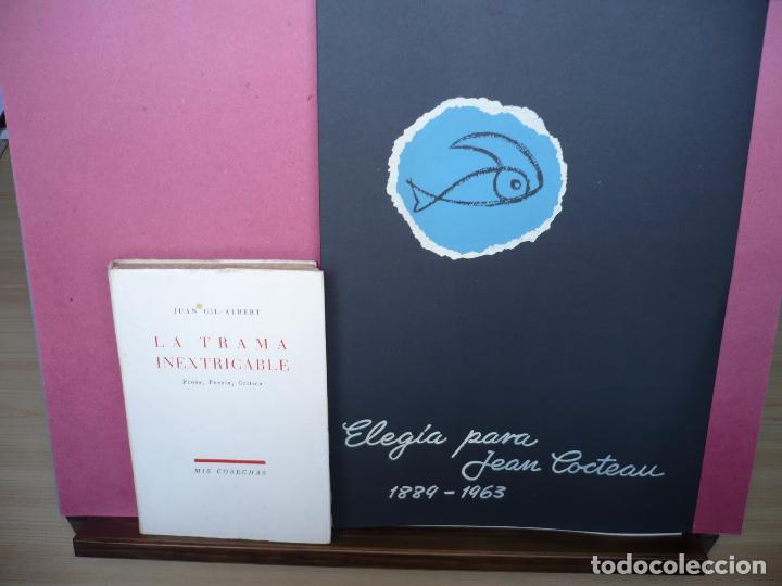 Libros de segunda mano: Ambos. - Foto 7
