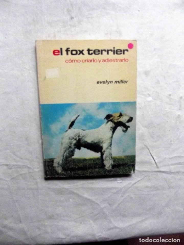 Libros de segunda mano: EL FOX TERRIER COMO CRIARLO Y ADIESTRARLO  DE EVELIN MILLER