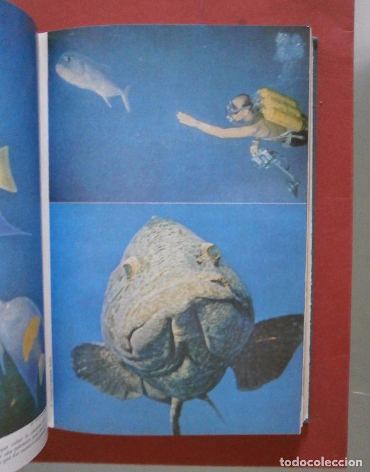 Libros de segunda mano: El mar viviente. Jacques-Yves Cousteau-James Dugan - Foto 2