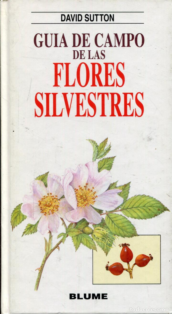 Libros de segunda mano: guia de campo de las flores silvestres -- blume - Foto 1