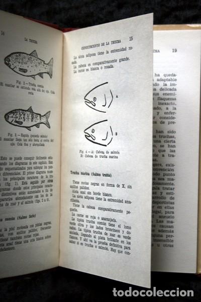 Libros de segunda mano: LA TRUCHA - COMO SE PESCA - ADAMSON - HERAKLES - Foto 2