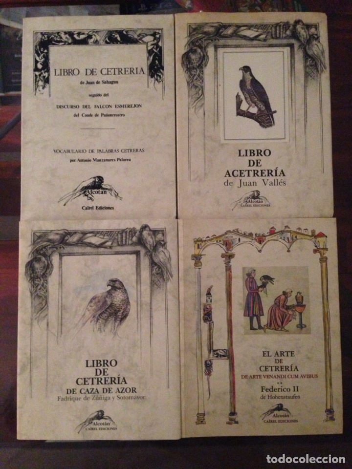 Libros de segunda mano: LIBROS DE CETRERIA COLECCI&Oacute;N ALCOTAN- CAZA- - Foto 1