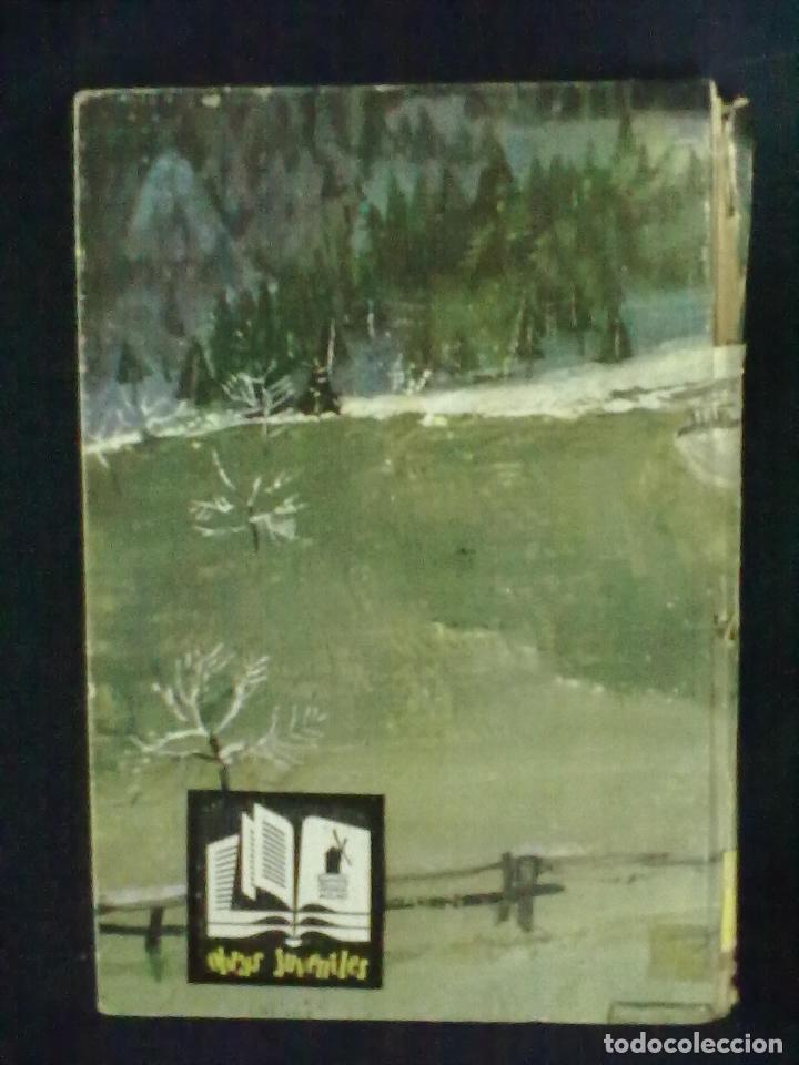 Libros de segunda mano: JUANA SPYRI HIJOS DE LOS ALPES - Foto 4