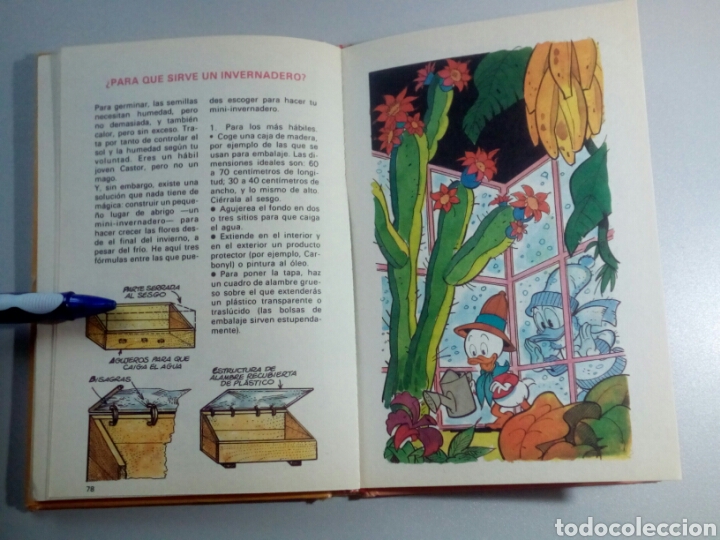 Libros de segunda mano: Biblioteca de los Jovenes Castores. Walt Disney. - Foto 5