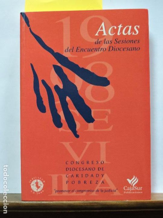 Second hand books: Actas de las sesiones del encuentro diocesano. De los Santos S&aacute;nchez Barbudo, M. C&oacute;rdoba 1999