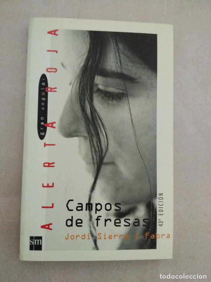 Libros de segunda mano: CAMPOS DE FRESAS -- JORDI SIERRA I FABRA -- GRAN ANGULAR - Foto 1