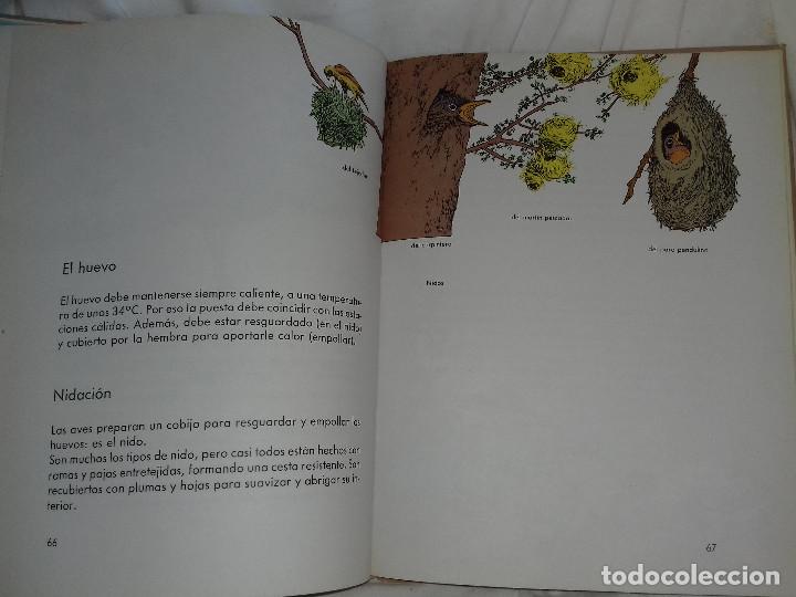 Libros de segunda mano: EL LIBRO DE LA VIDA-CIRCULO DE LECTORES-GRIJELMO-1983 - Foto 7