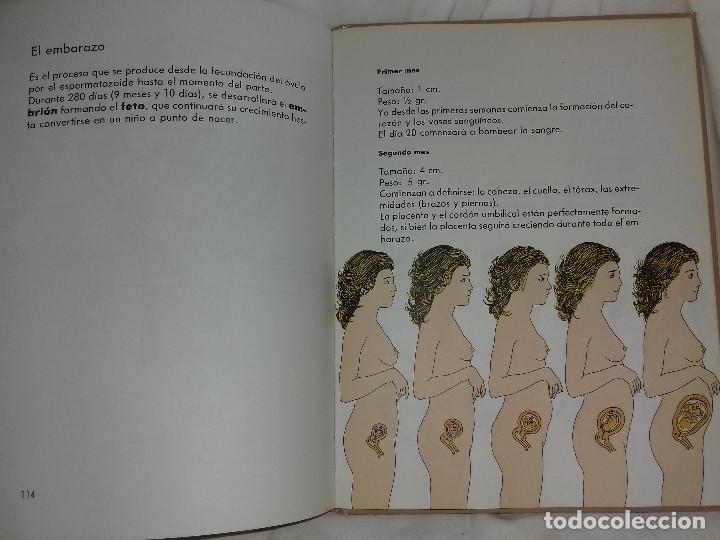 Libros de segunda mano: EL LIBRO DE LA VIDA-CIRCULO DE LECTORES-GRIJELMO-1983 - Foto 8