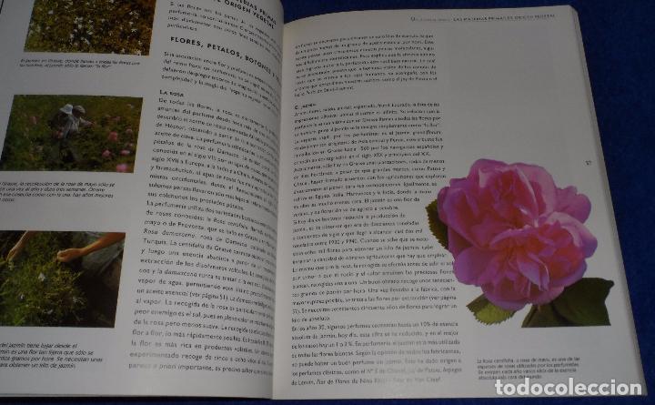 Libros de segunda mano: EL MUNDO DE LOS PERFUMES - FABIENNE PAVIA - ED. ULTRAMAR (1996) - Foto 3