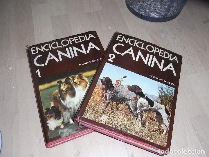 Libros de segunda mano: Enciclopedia Canina, Noguer, 2 tomos - Foto 1